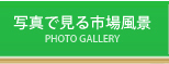 写真で見る市場風景